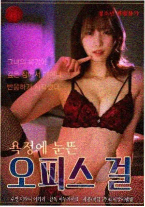 雨季之后 海报